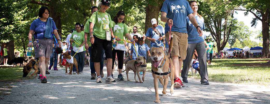 2018 Walk for the Animals